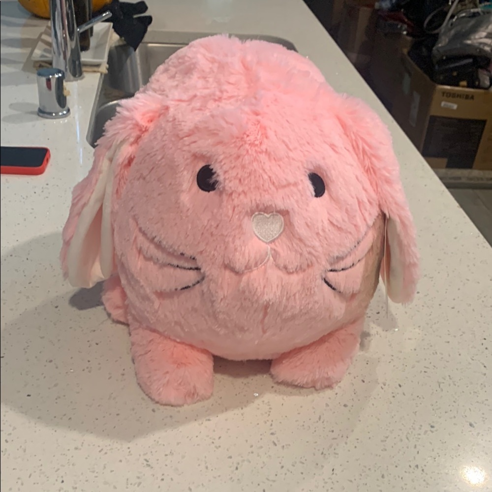 Pink Plush Bunny Bank Toy